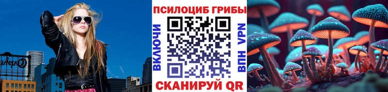 Галлюциногенные грибы MAGIC MUSHROOMS  блэк спрут   Лесной 