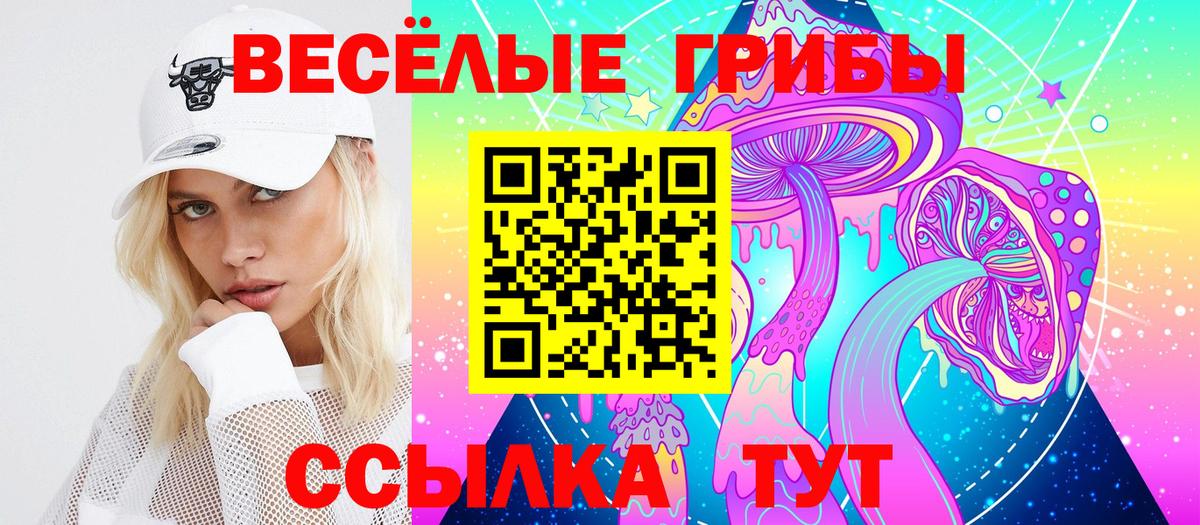 Галлюциногенные грибы мухоморы Лесной