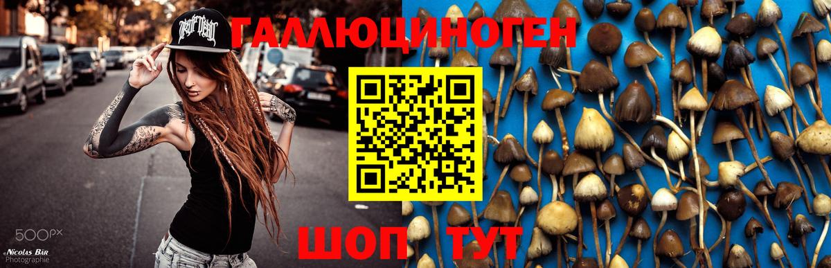 Галлюциногенные грибы MAGIC MUSHROOMS  Вход с VPN  Галлюциногенные грибы Cubensis  Лесной 