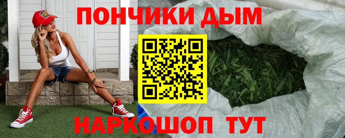 Бошки марихуана сатива  Бошки марихуана Ganja  Лесной  Канабис конопля  Вход с VPN 